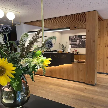 Aparthotel Ursprung-3